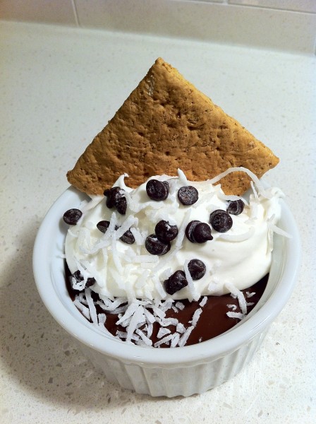 Read more about the article Low Fat Chocolate Pudding