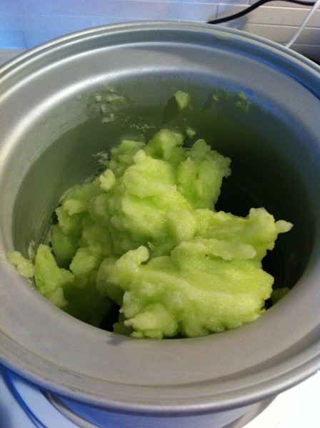 Read more about the article Honey Dew Sorbet