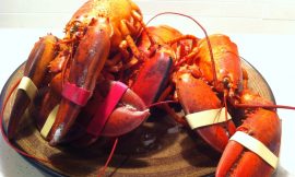 Steamed Lobster with Dipping Sauce