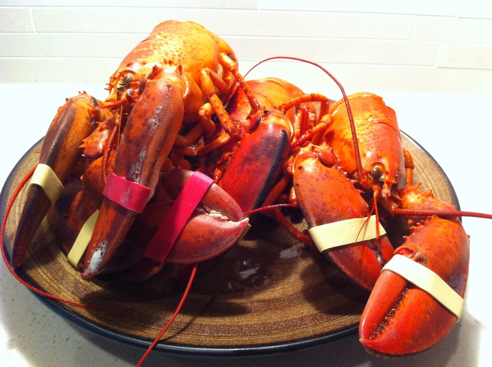 Read more about the article Steamed Lobster with Dipping Sauce